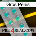 Gros Pénis 28